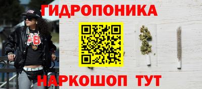 прущие крисы Анапа