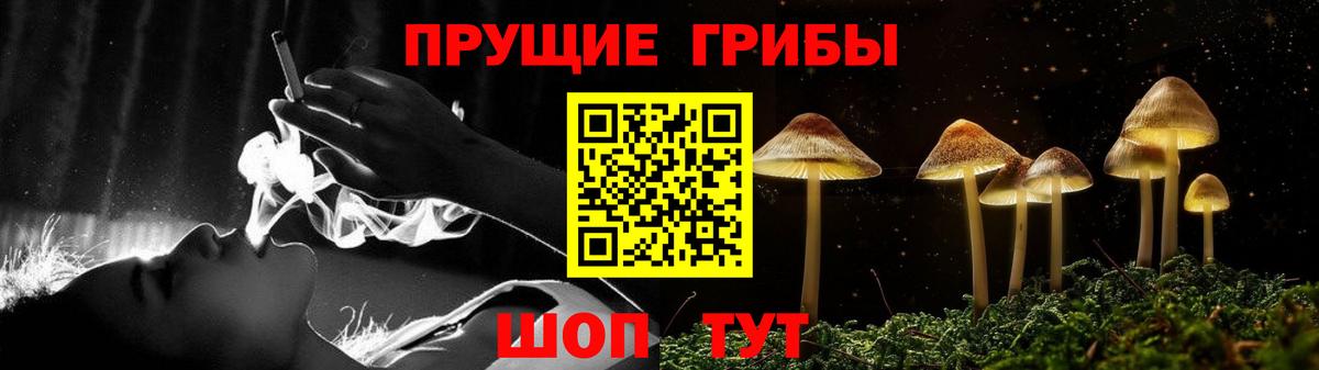 Орёл  Псилоцибиновые грибы MAGIC MUSHROOMS  Галлюциногенные грибы мицелий  Вход с VPN 